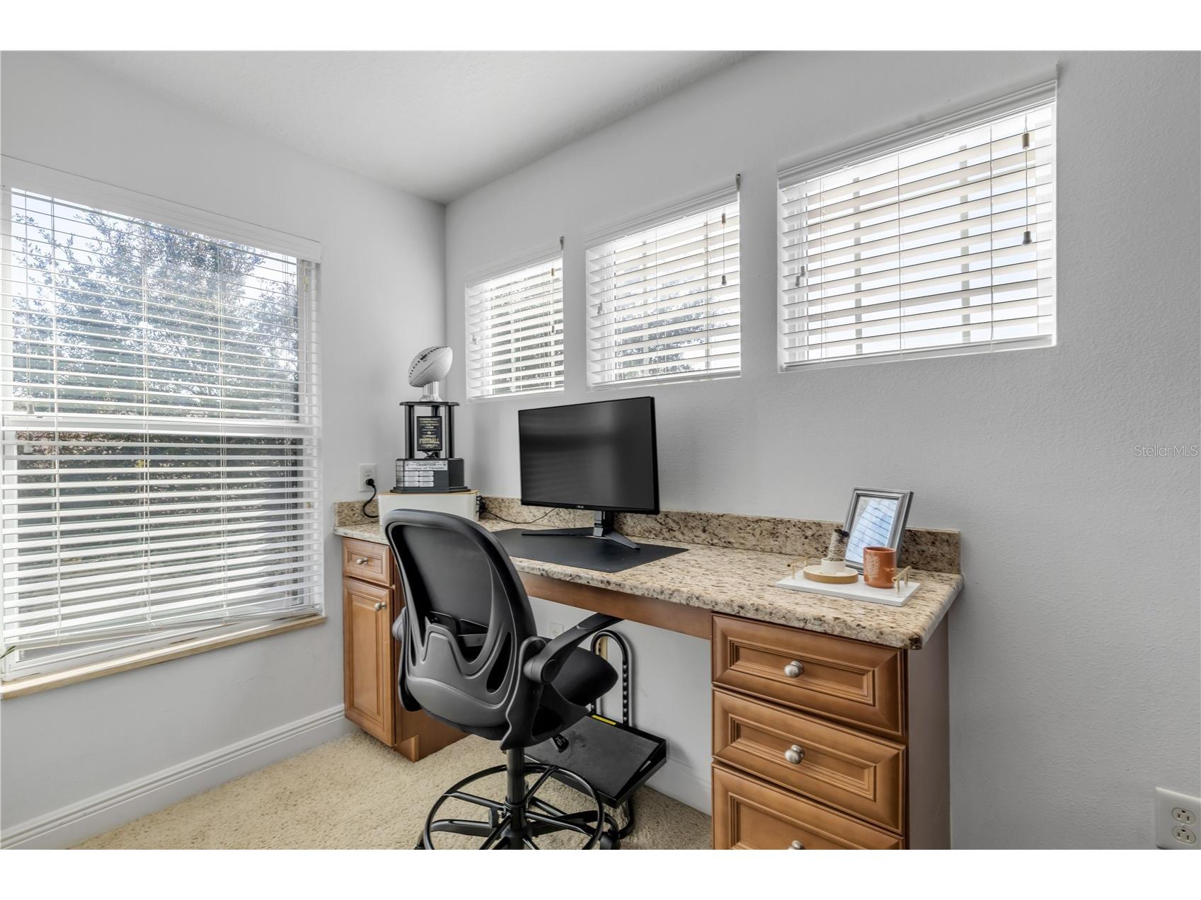 3021 Isola Bella Boulevard Mount Dora FL 32757 NS1088222 image61