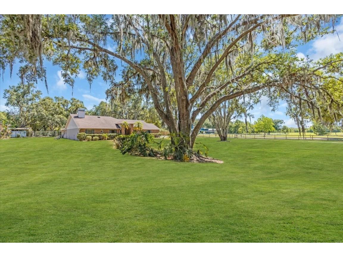 3021 Leila Estelle Drive Plant City FL 33565 A4651203 image5