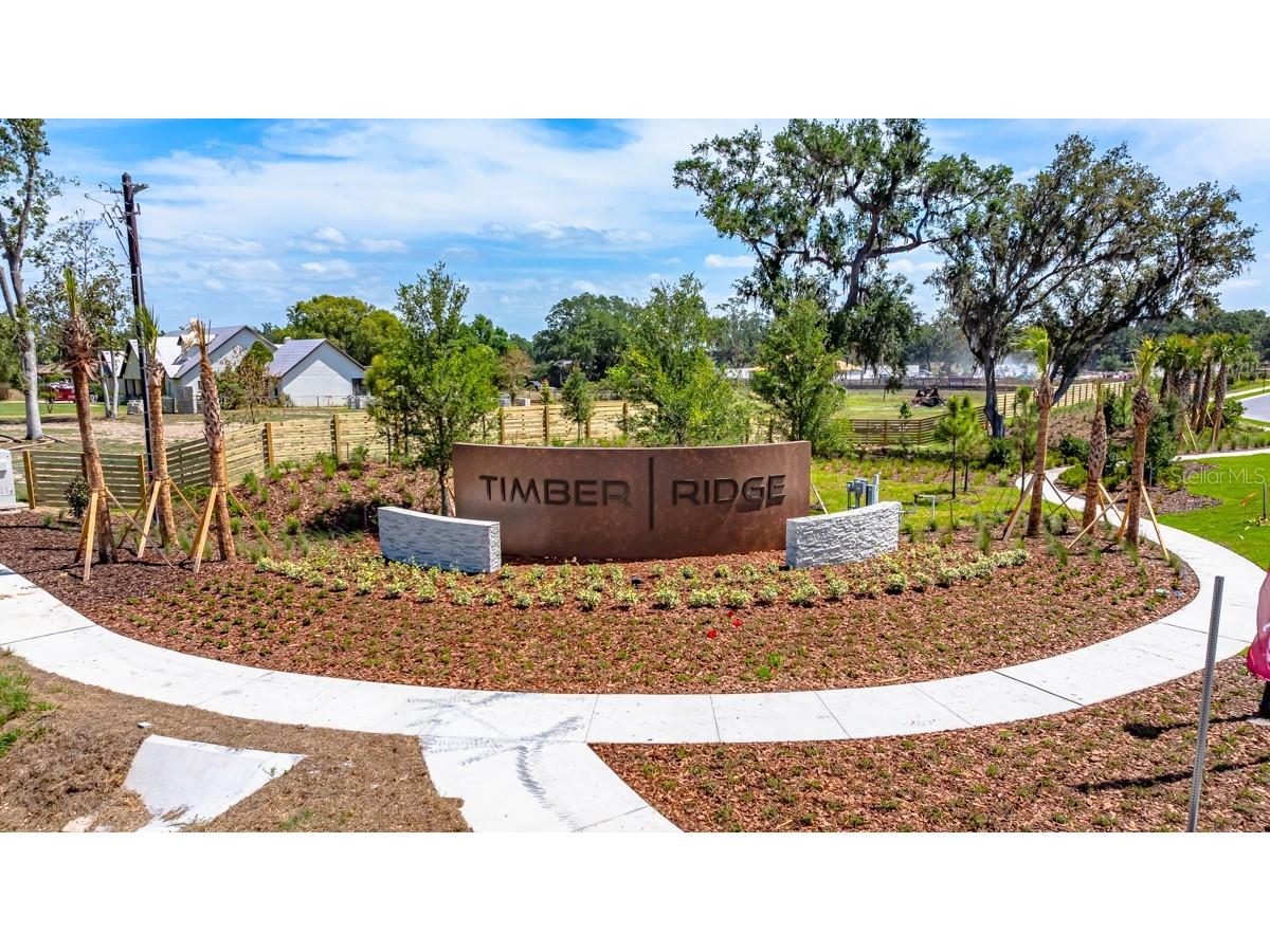 3021 Parapet Terrace Place Plant City FL 33565 TB8487245 image18