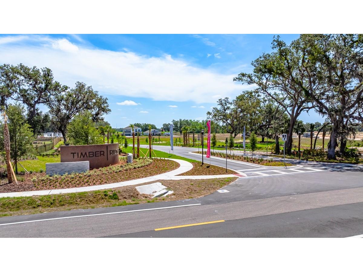 3021 Parapet Terrace Place Plant City FL 33565 TB8487245 image20
