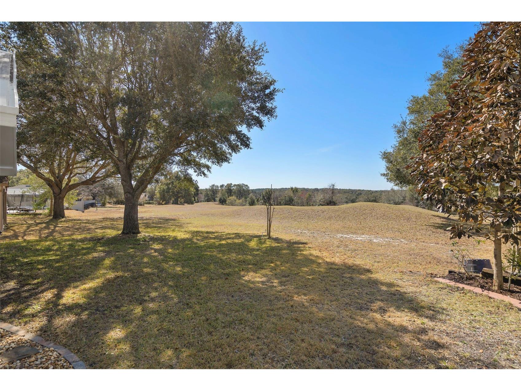 30213 Pga Drive Sorrento FL 32776 O6381374 image29