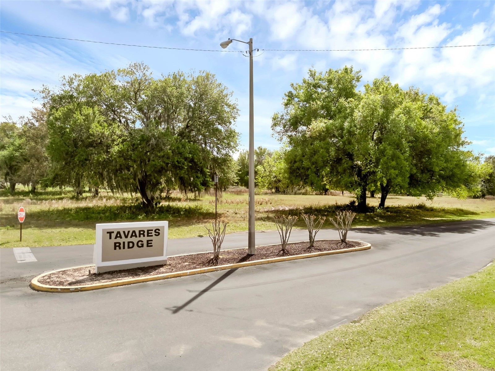 30213 Tavares Ridge Boulevard #30213 Tavares FL 32778 O6398431 image17