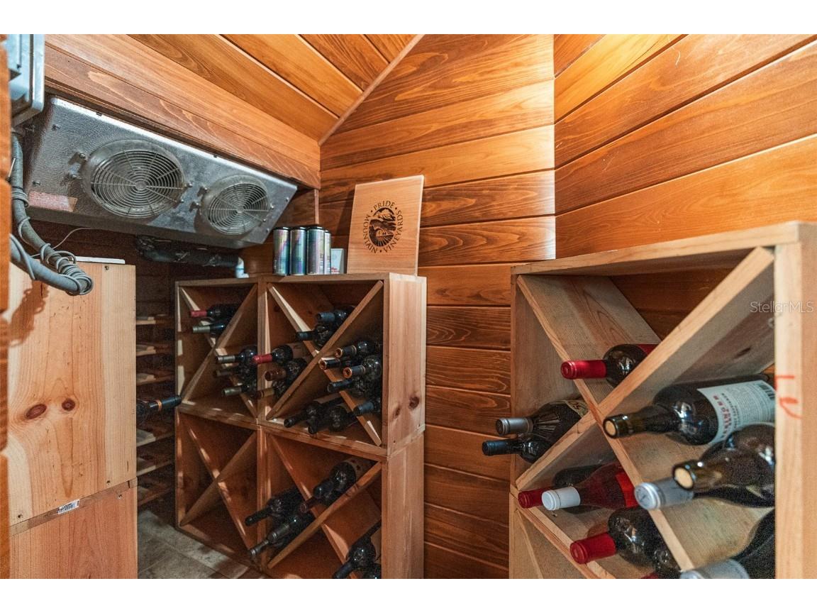 30215 Redtree Drive Leesburg FL 34748 - LAKE HARRIS S5136187 image18