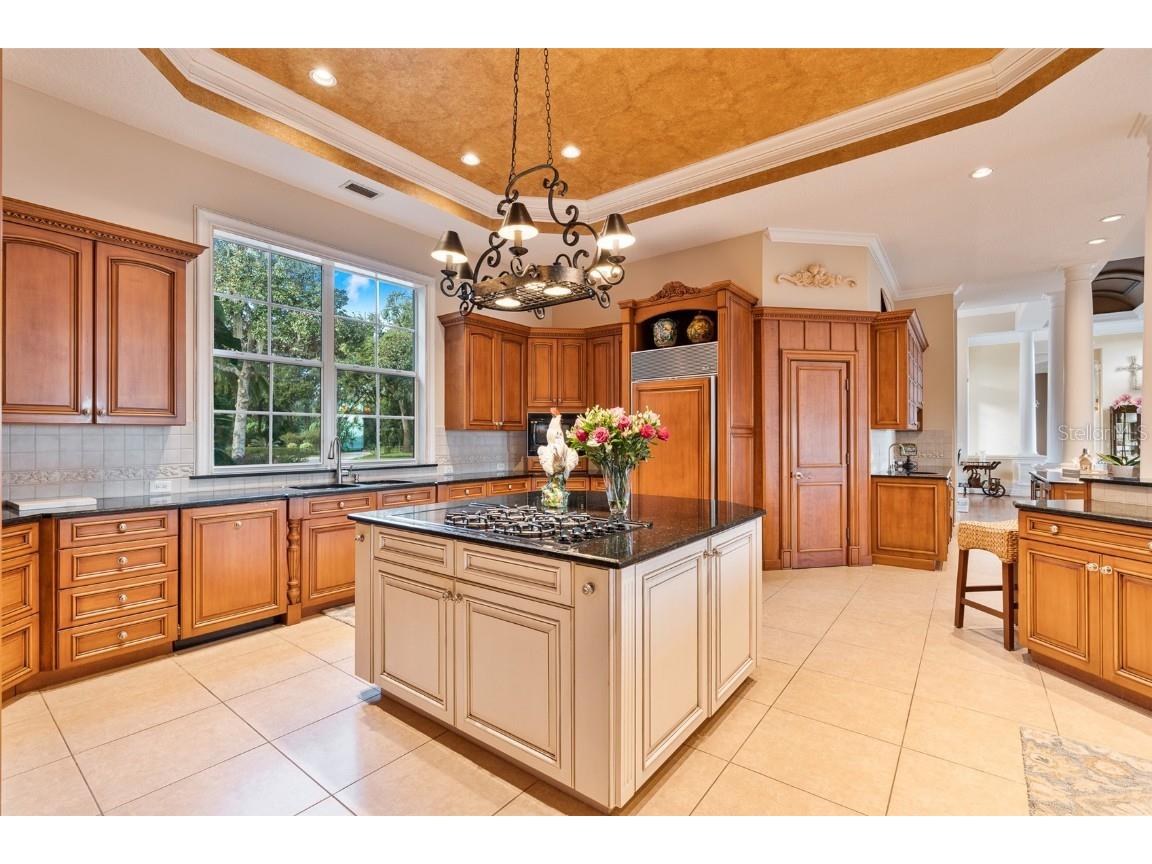 30215 Redtree Drive Leesburg FL 34748 - LAKE HARRIS S5136187 image4