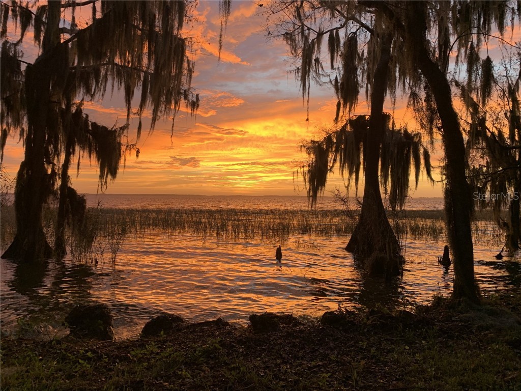 30215 Redtree Drive Leesburg FL 34748 - LAKE HARRIS S5136187 image46