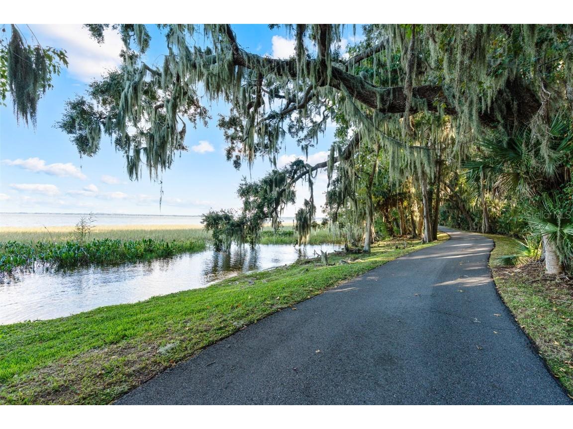 30215 Redtree Drive Leesburg FL 34748 - LAKE HARRIS S5136187 image47