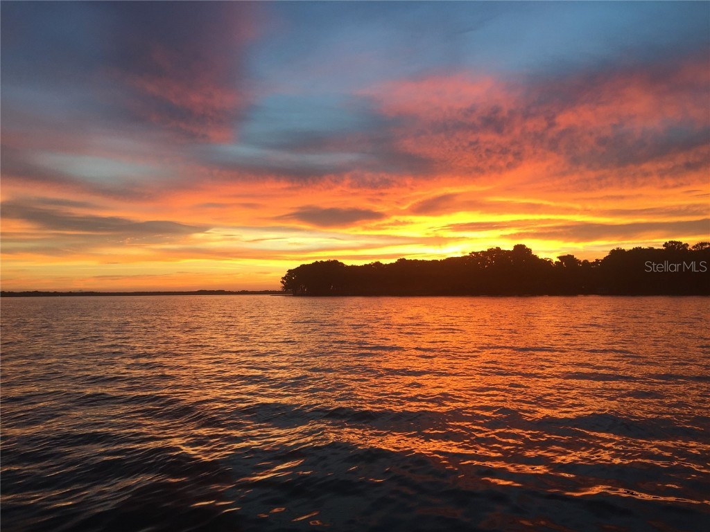 30215 Redtree Drive Leesburg FL 34748 - LAKE HARRIS S5136187 image59