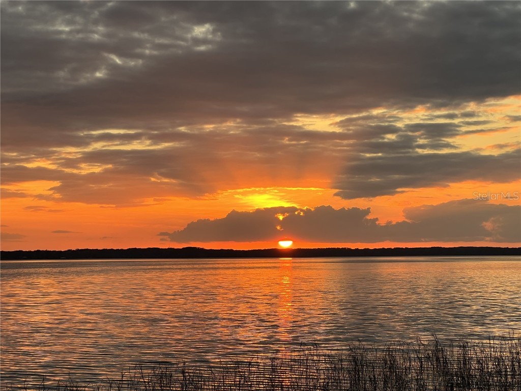 30215 Redtree Drive Leesburg FL 34748 - LAKE HARRIS S5136187 image61