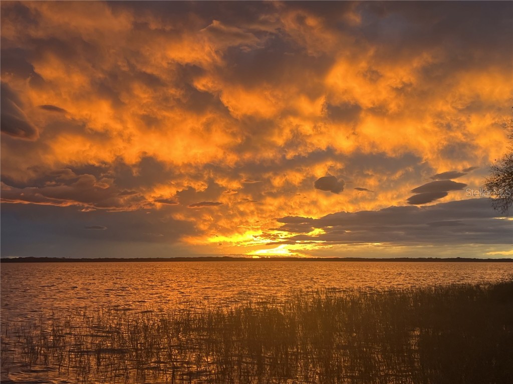 30215 Redtree Drive Leesburg FL 34748 - LAKE HARRIS S5136187 image62