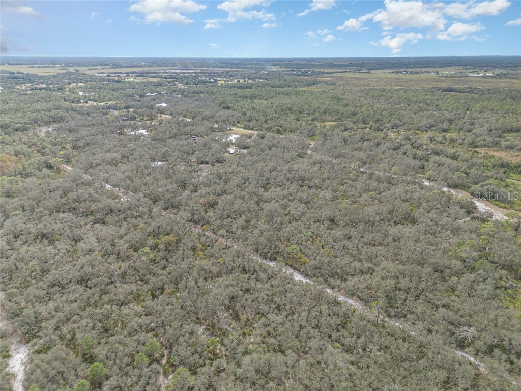 30215 Saddlebag Trail Myakka City FL 34251 TB8445269 image37