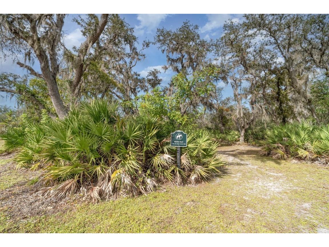 30215 Saddlebag Trail Myakka City FL 34251 TB8445269 image38