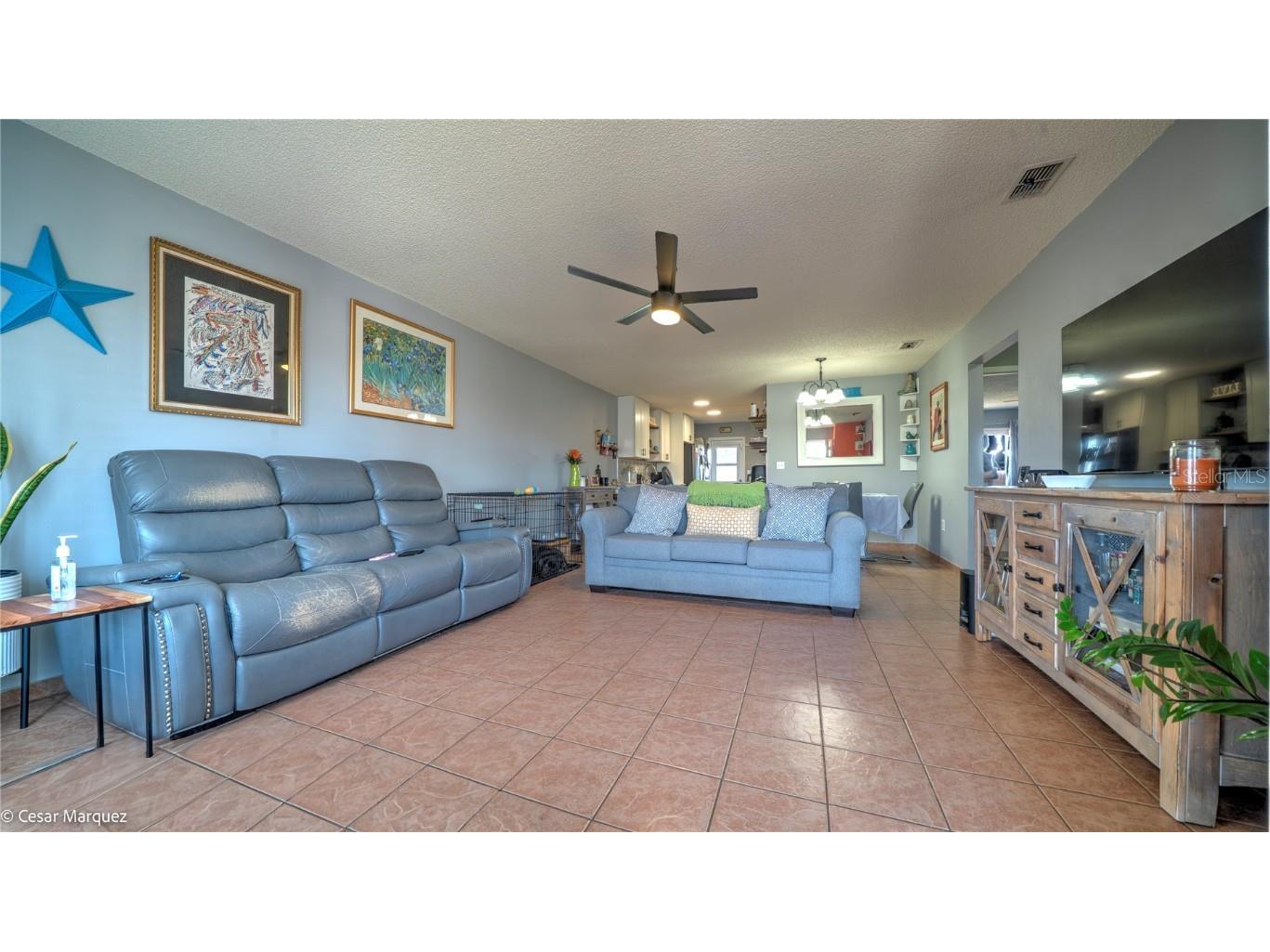 30215 Tavares Ridge Boulevard #11 Tavares FL 32778 S5139760 image2