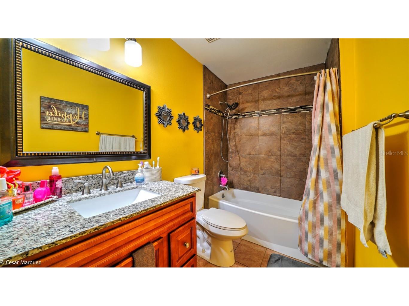 30215 Tavares Ridge Boulevard #11 Tavares FL 32778 S5139760 image6