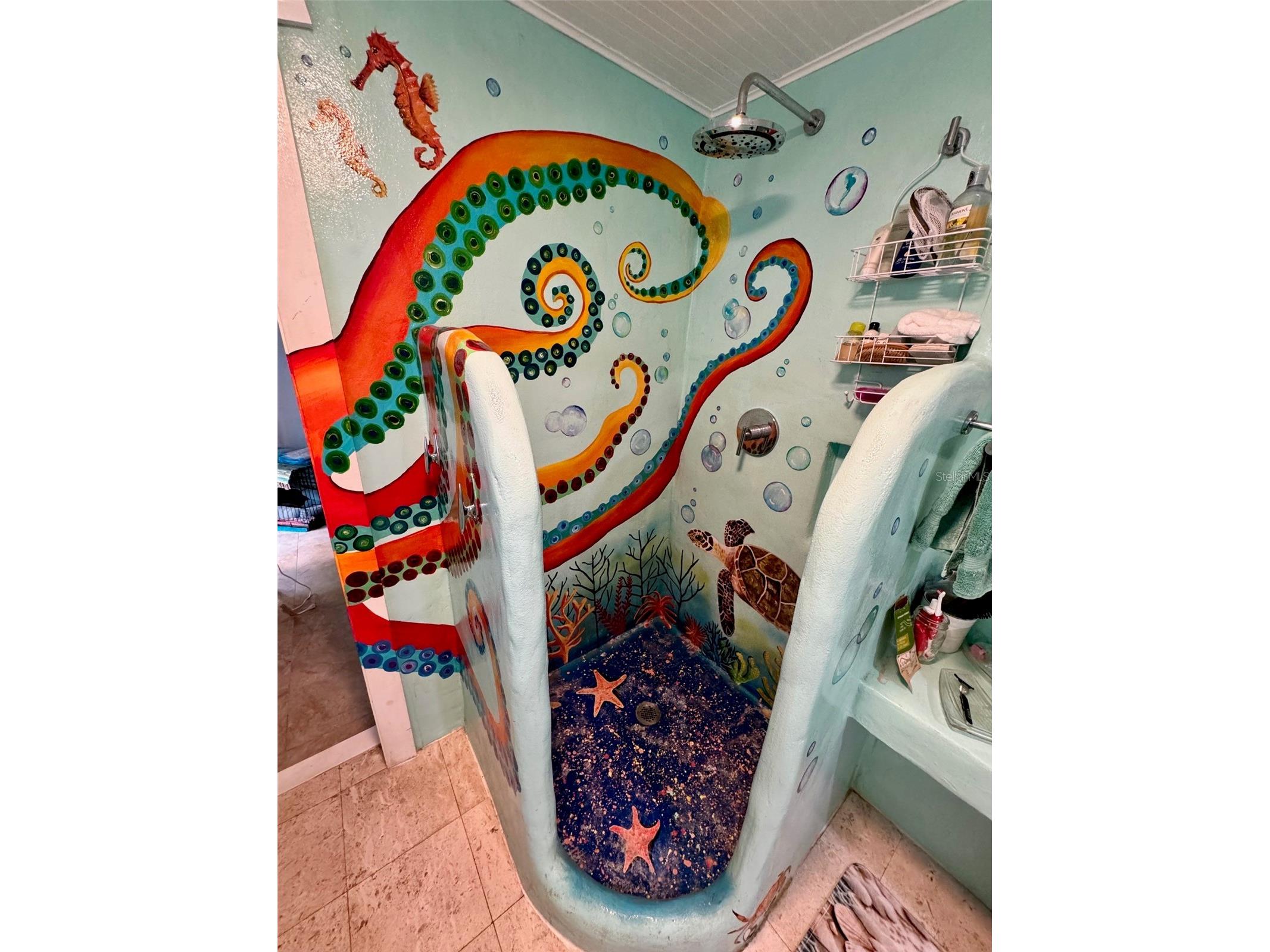 3022 56th Street S Gulfport FL 33707 TB8325207 image6