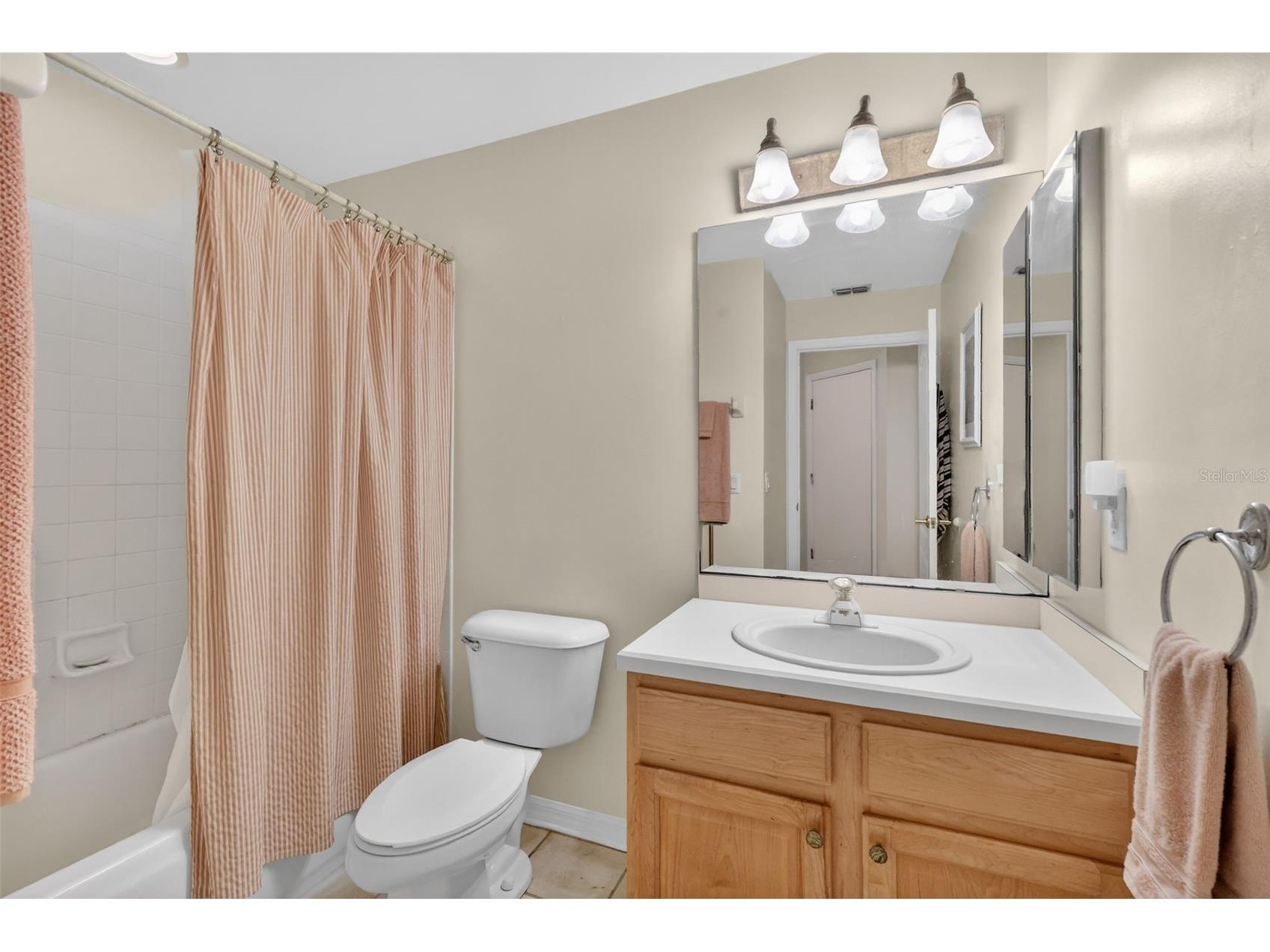 3022 Andover Court Mount Dora FL 32757 G5110593 image17