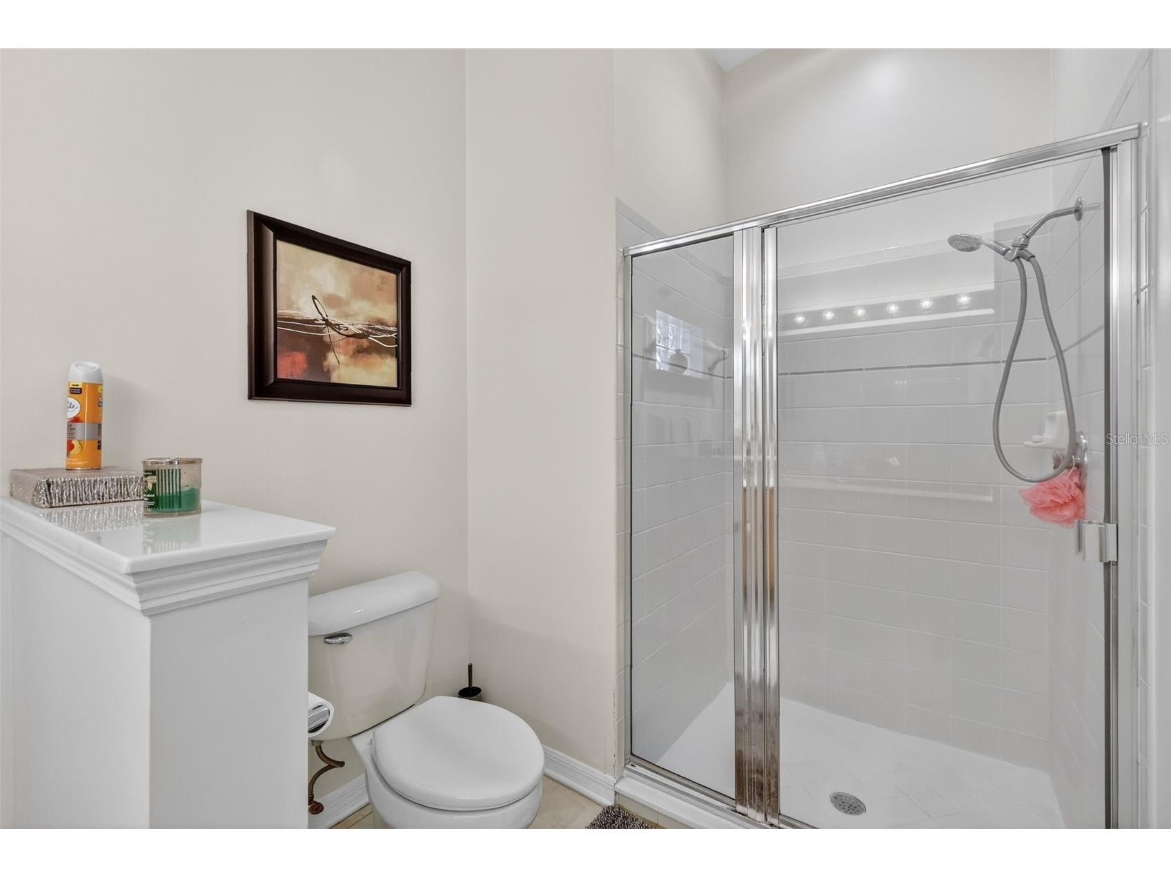 3022 Andover Court Mount Dora FL 32757 G5110593 image22