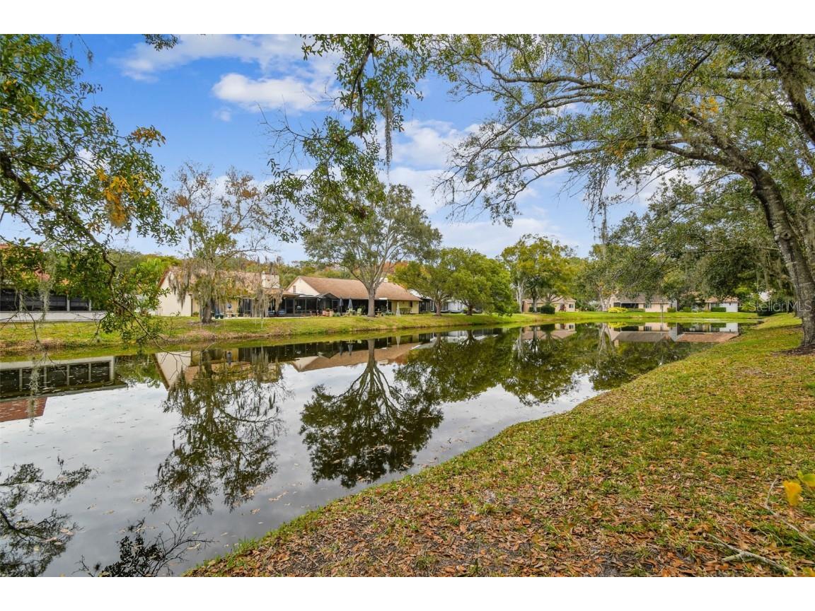 3022 Bolt Drive Palm Harbor FL 34685 U8224962 image1