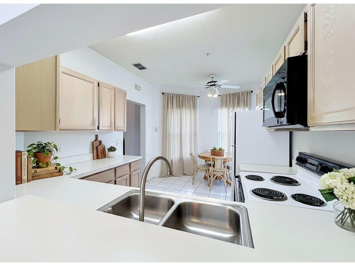 3022 Cottage Grove Court #1807 Orlando FL 32822 O6415510 image15