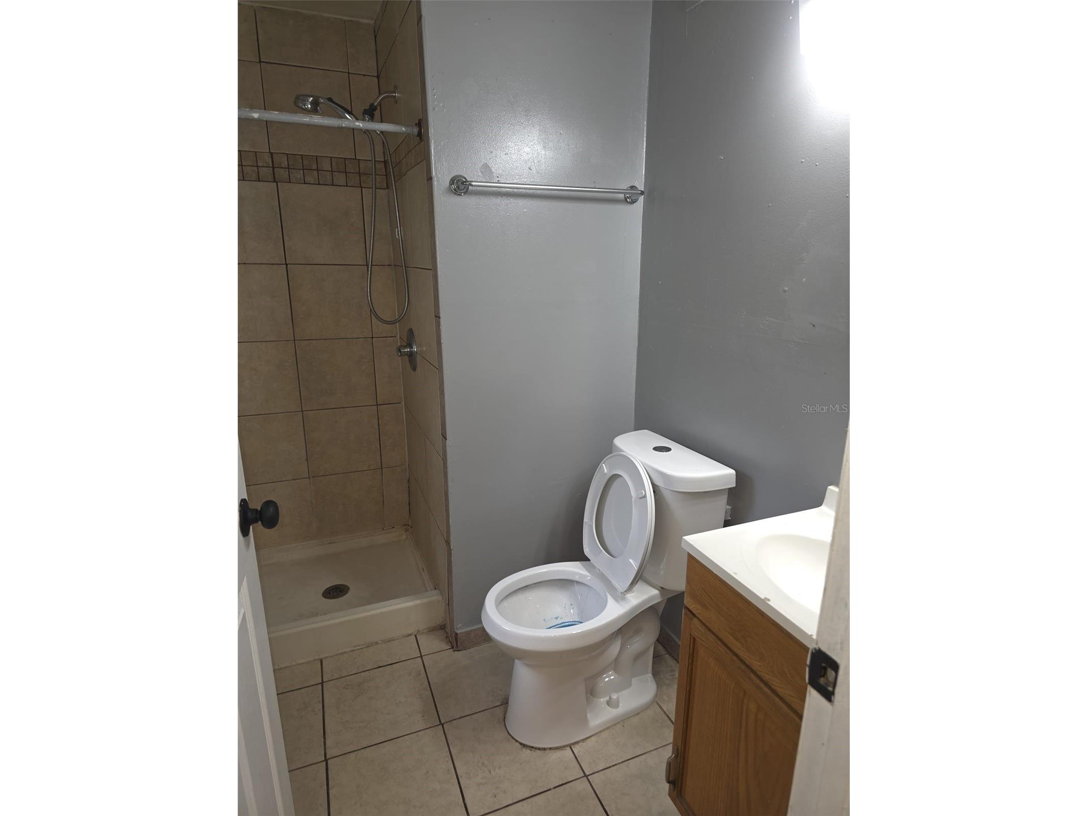 3022 Deleuil Avenue Tampa FL 33610 TB8496810 image9