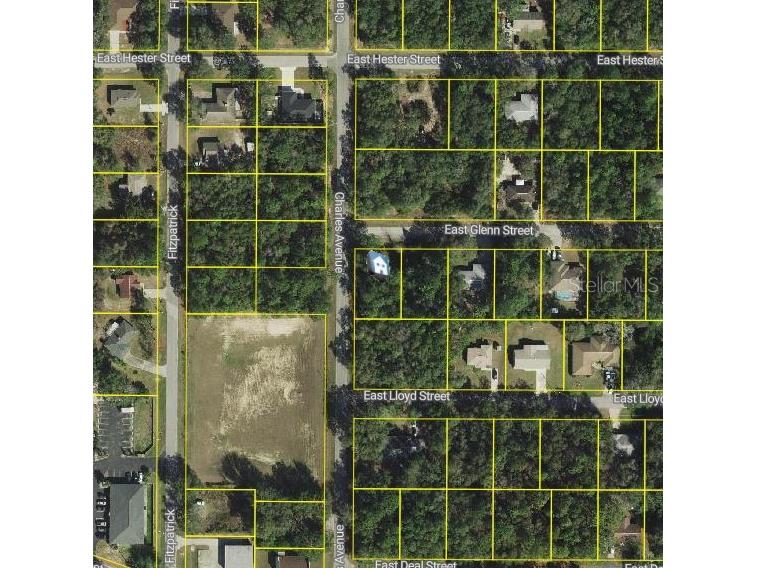 3022 E Glenn Street Inverness FL 34453 W7866786 image1