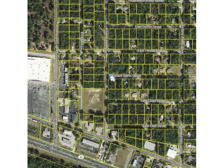 3022 E Glenn Street Inverness FL 34453 W7866786 image2