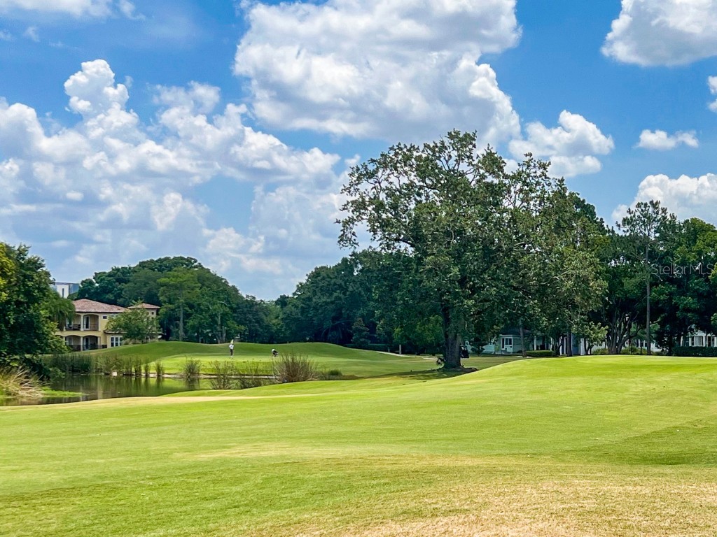 3022 Fairway Lane #D Orlando FL 32804 O6354811 image18