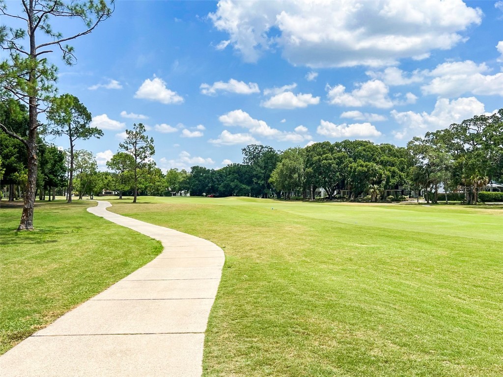 3022 Fairway Lane #D Orlando FL 32804 O6354811 image19