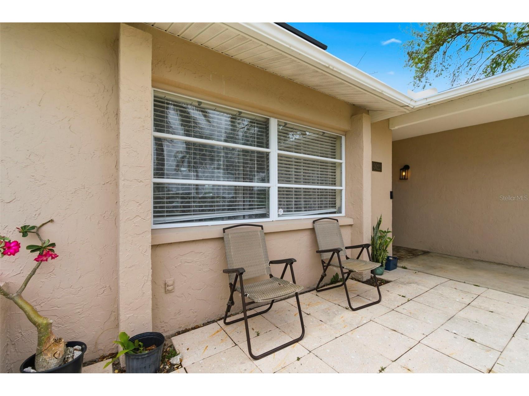 3022 Jackson Drive Holiday FL 34691 TB8487847 image11