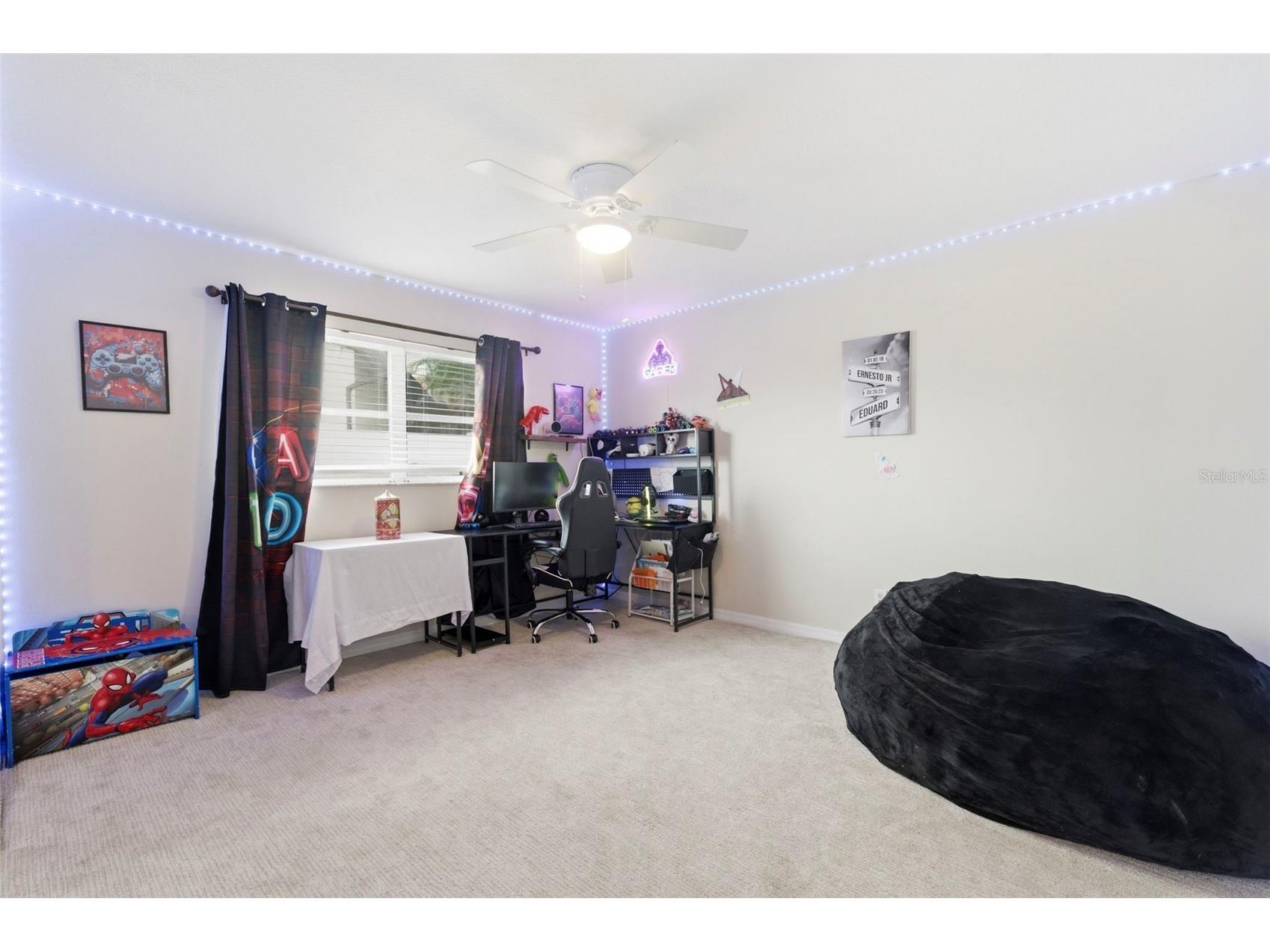 3022 Jackson Drive Holiday FL 34691 TB8487847 image32