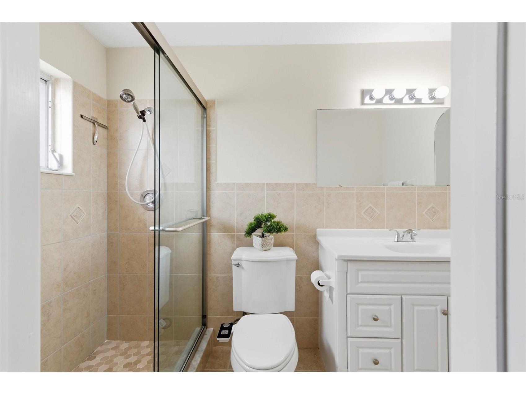 3022 Jackson Drive Holiday FL 34691 TB8487847 image6