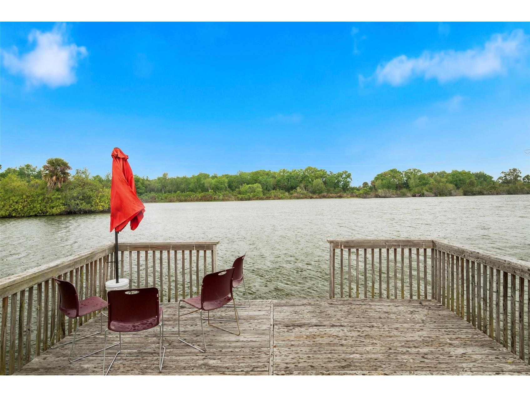 3022 Jackson Drive Holiday FL 34691 TB8487847 image61