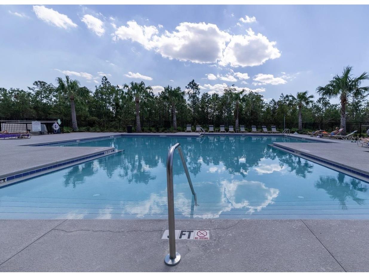 3022 Neverland Drive New Smyrna Beach FL 32168 O6394793 image35