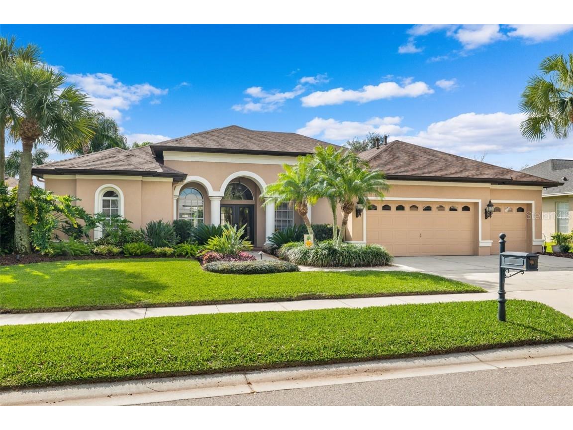 3022 Sheehan Drive Land O Lakes FL 34638 T3499164 image1