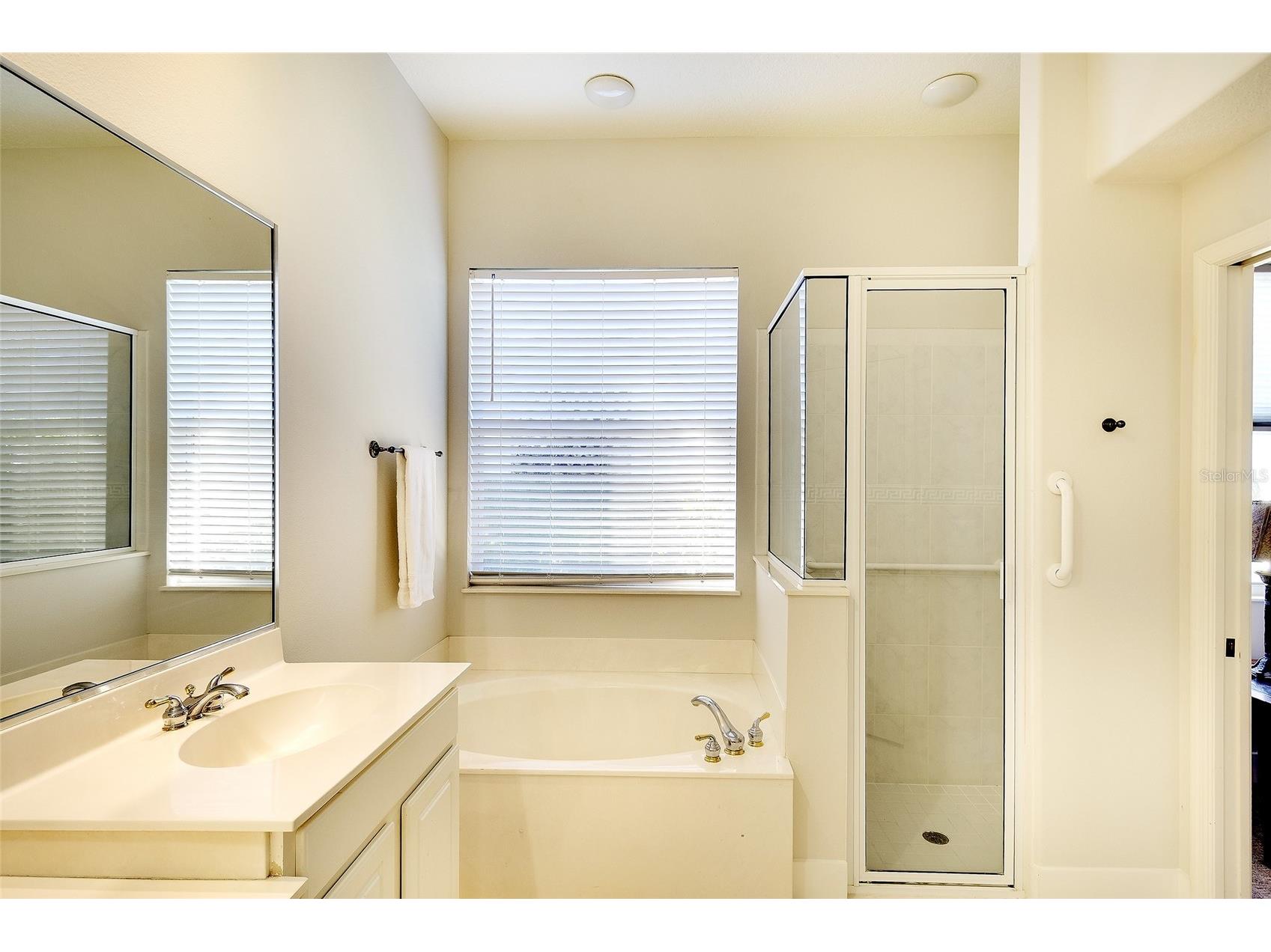 3022 Woodland Fern Drive Parrish FL 34219 A4681801 image22