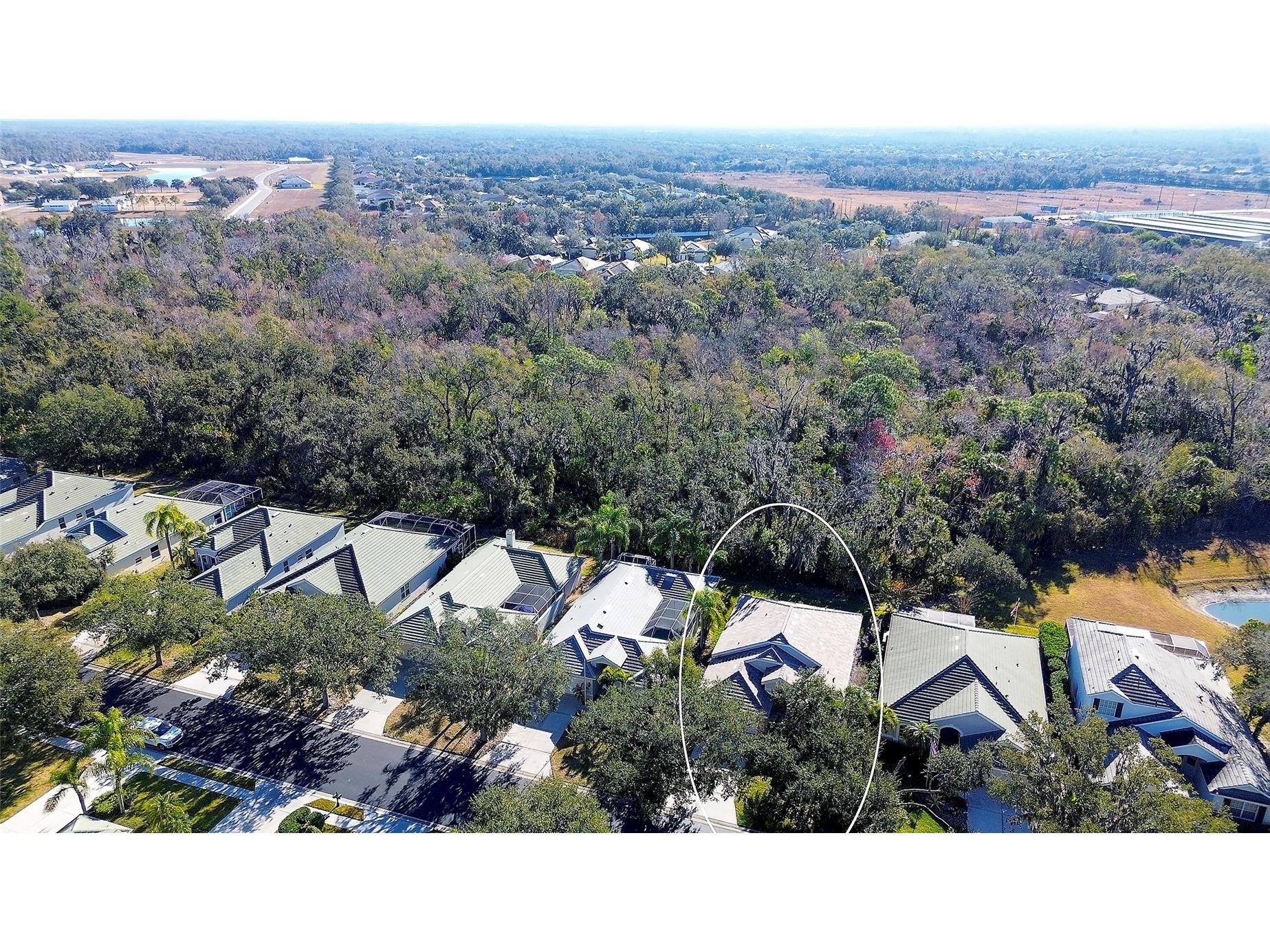 3022 Woodland Fern Drive Parrish FL 34219 A4681801 image3