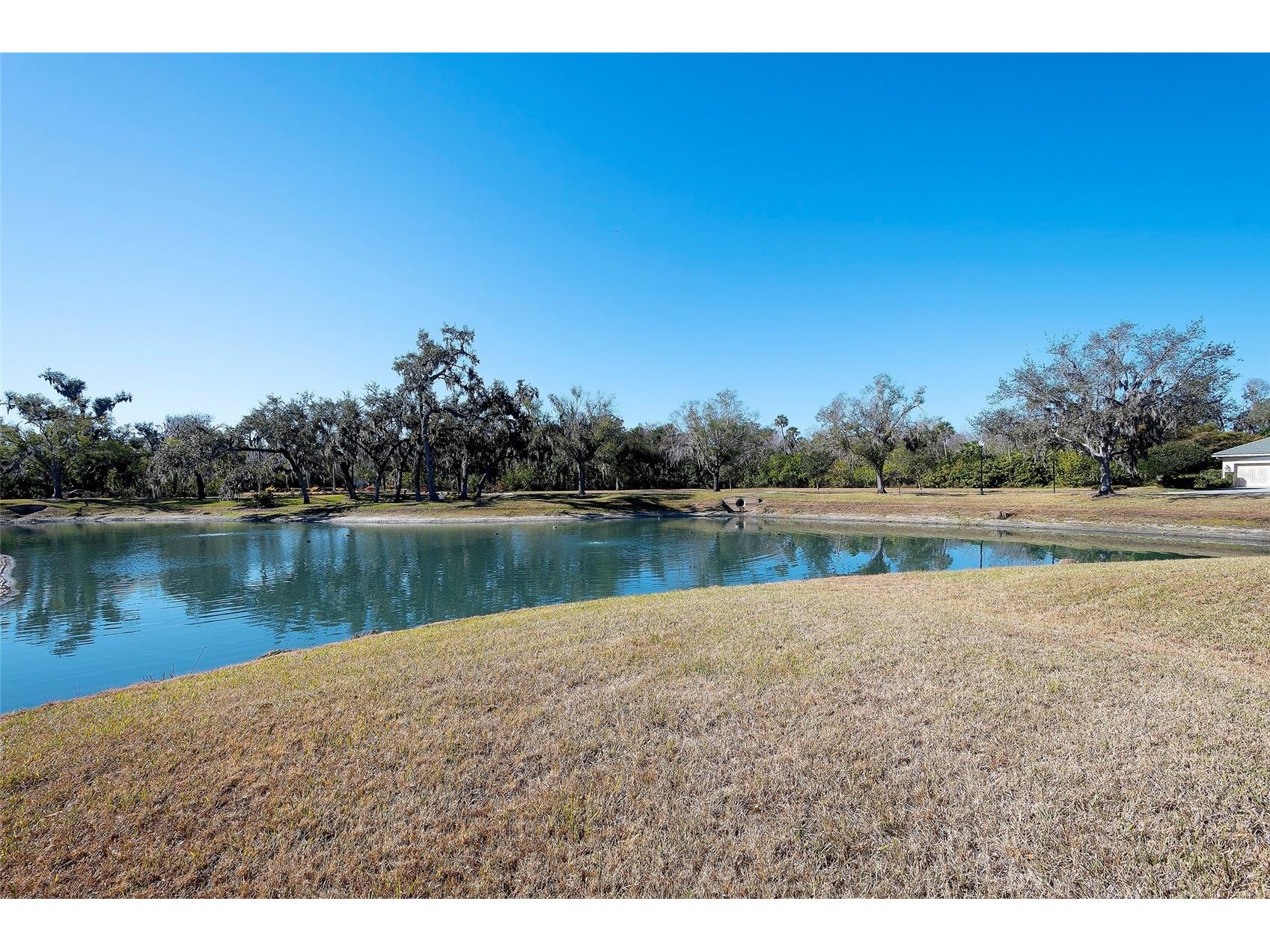 3022 Woodland Fern Drive Parrish FL 34219 A4681801 image31