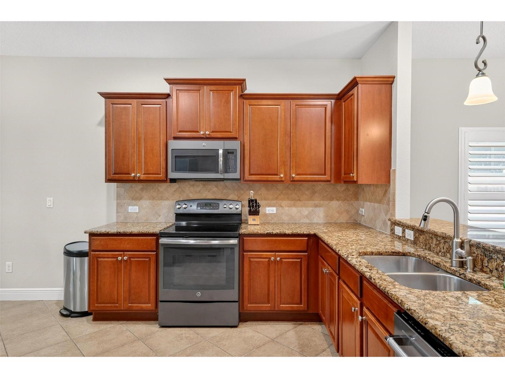 30224 Cheval Street Mount Dora FL 32757 O6394686 image14