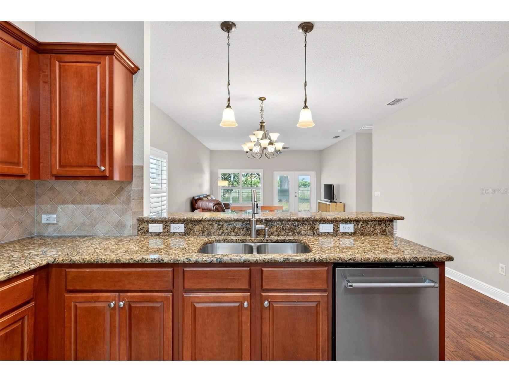 30224 Cheval Street Mount Dora FL 32757 O6394686 image17