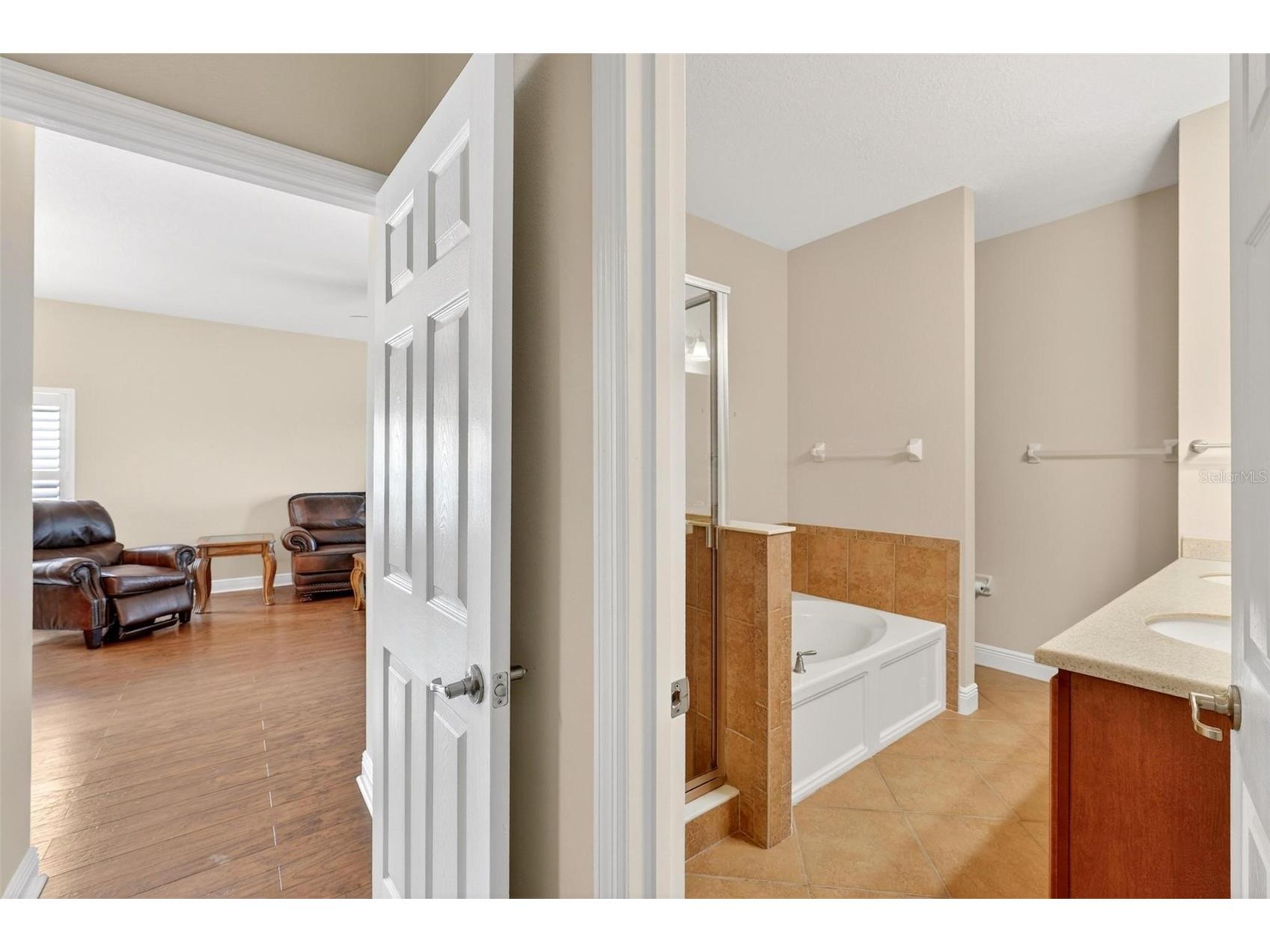 30224 Cheval Street Mount Dora FL 32757 O6394686 image23