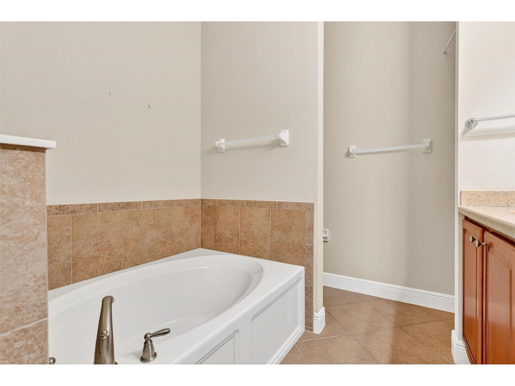 30224 Cheval Street Mount Dora FL 32757 O6394686 image26