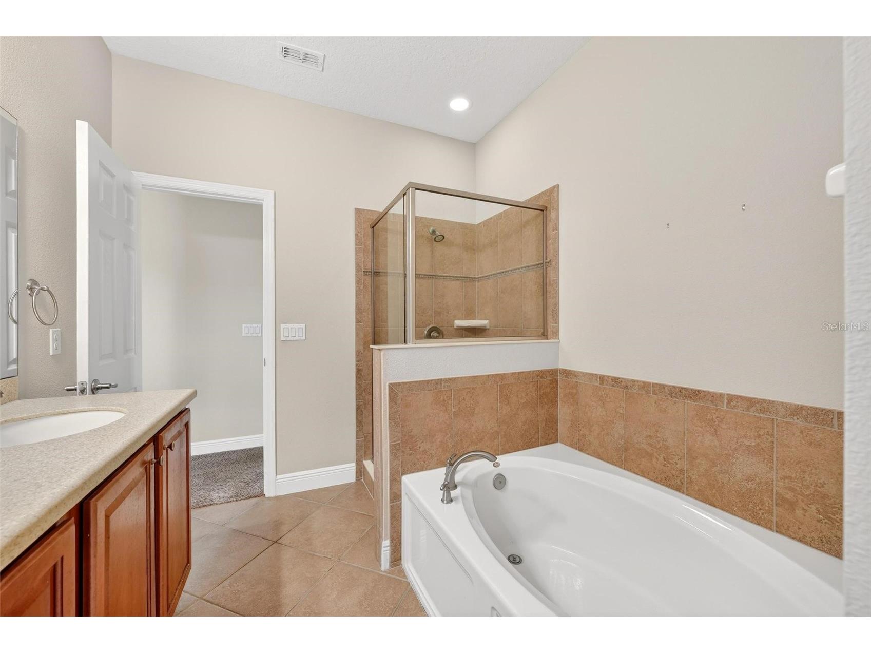 30224 Cheval Street Mount Dora FL 32757 O6394686 image27
