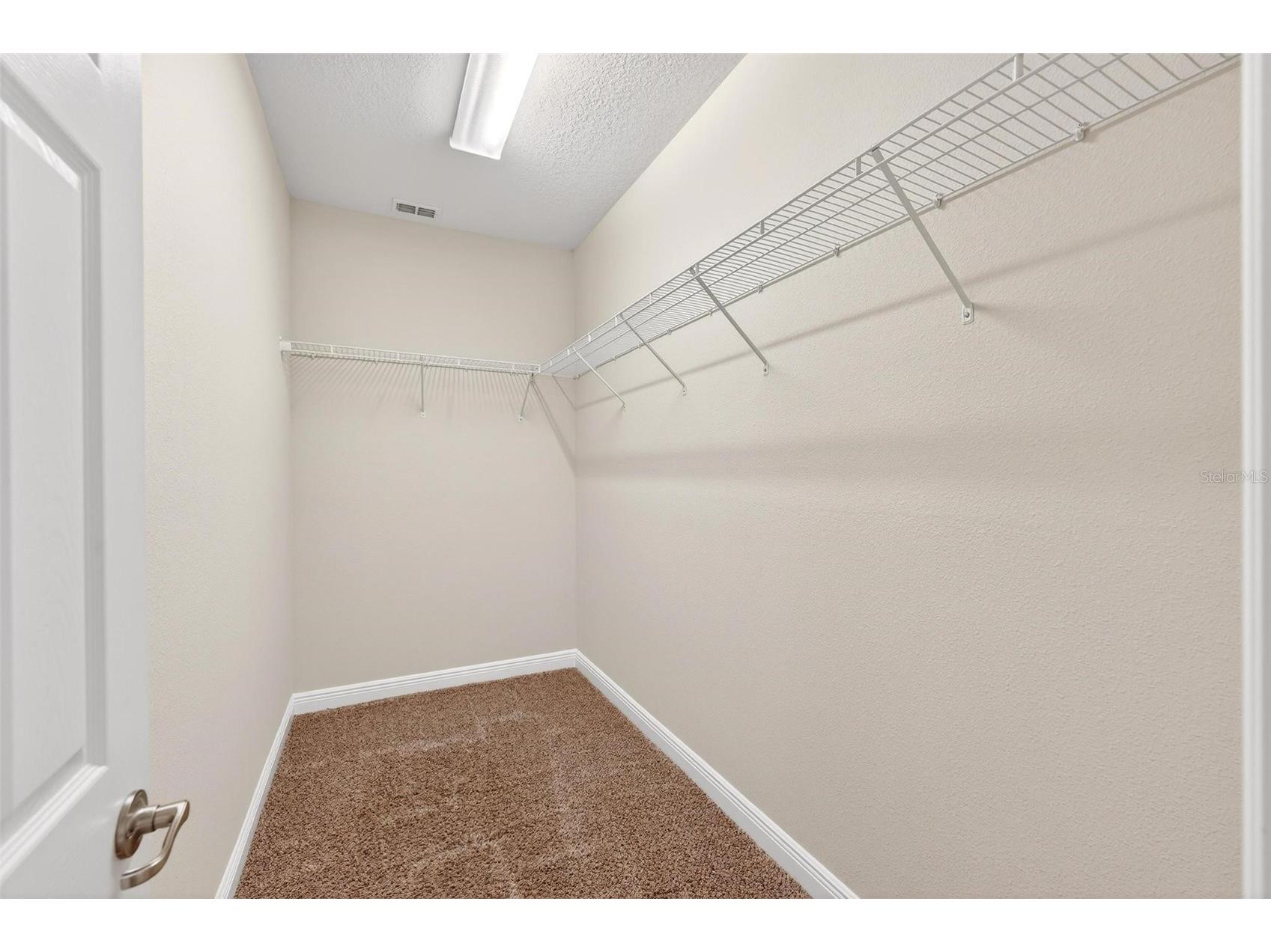 30224 Cheval Street Mount Dora FL 32757 O6394686 image31