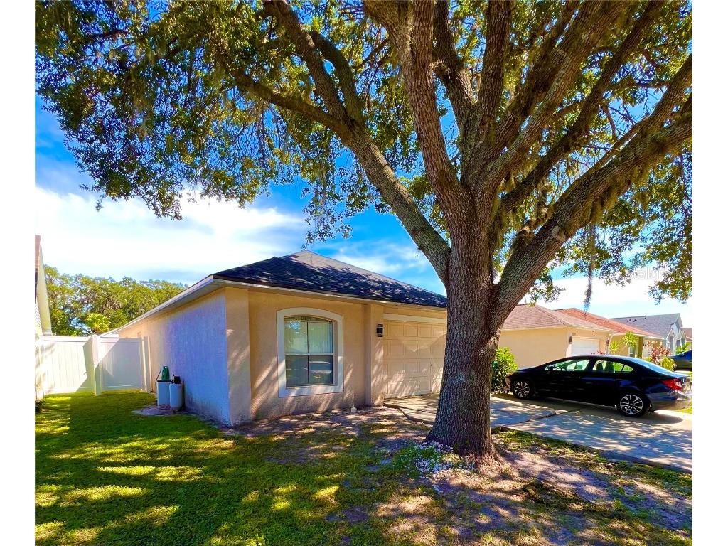 30229 Double Drive Wesley Chapel FL 33545 U8213162 image1