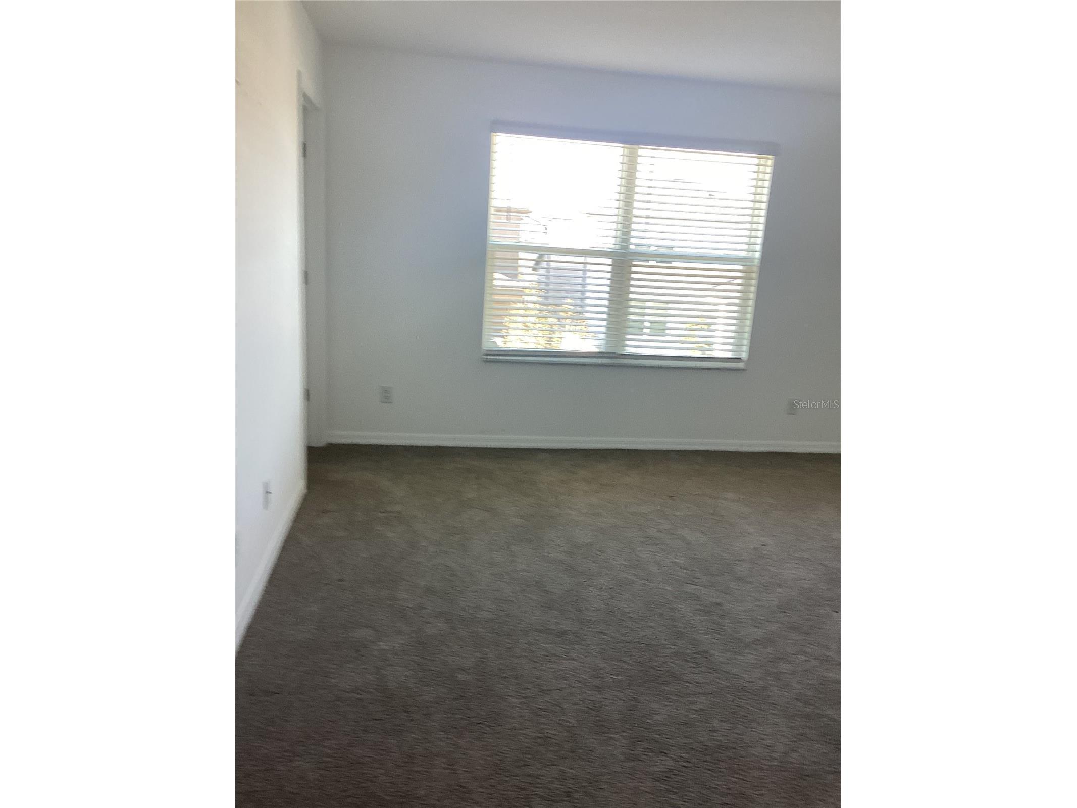 3023 Adams Cross Drive Zephyrhills FL 33540 TB8464996 image10