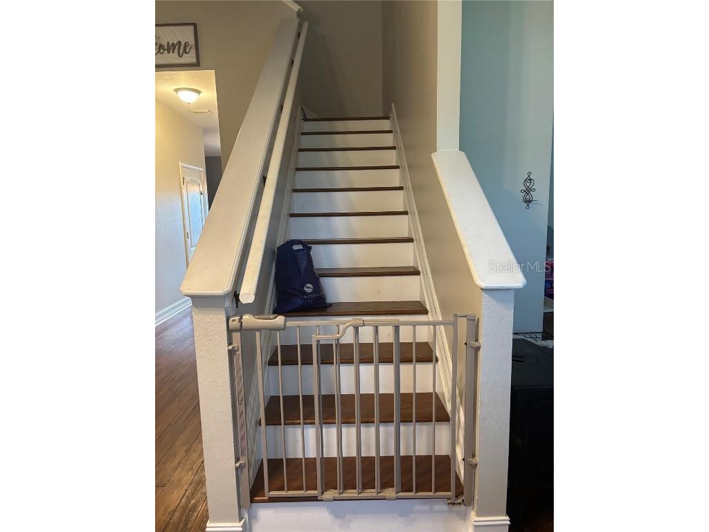 3023 Azalea Blossom Drive Plant City FL 33567 TB8424144 image13