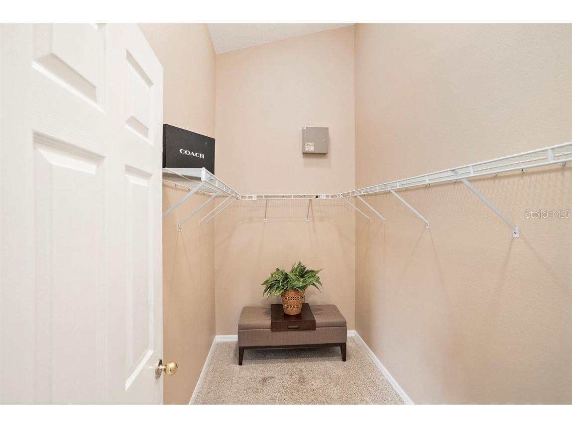 3023 Bent Creek Drive Valrico FL 33596 TB8380963 image9