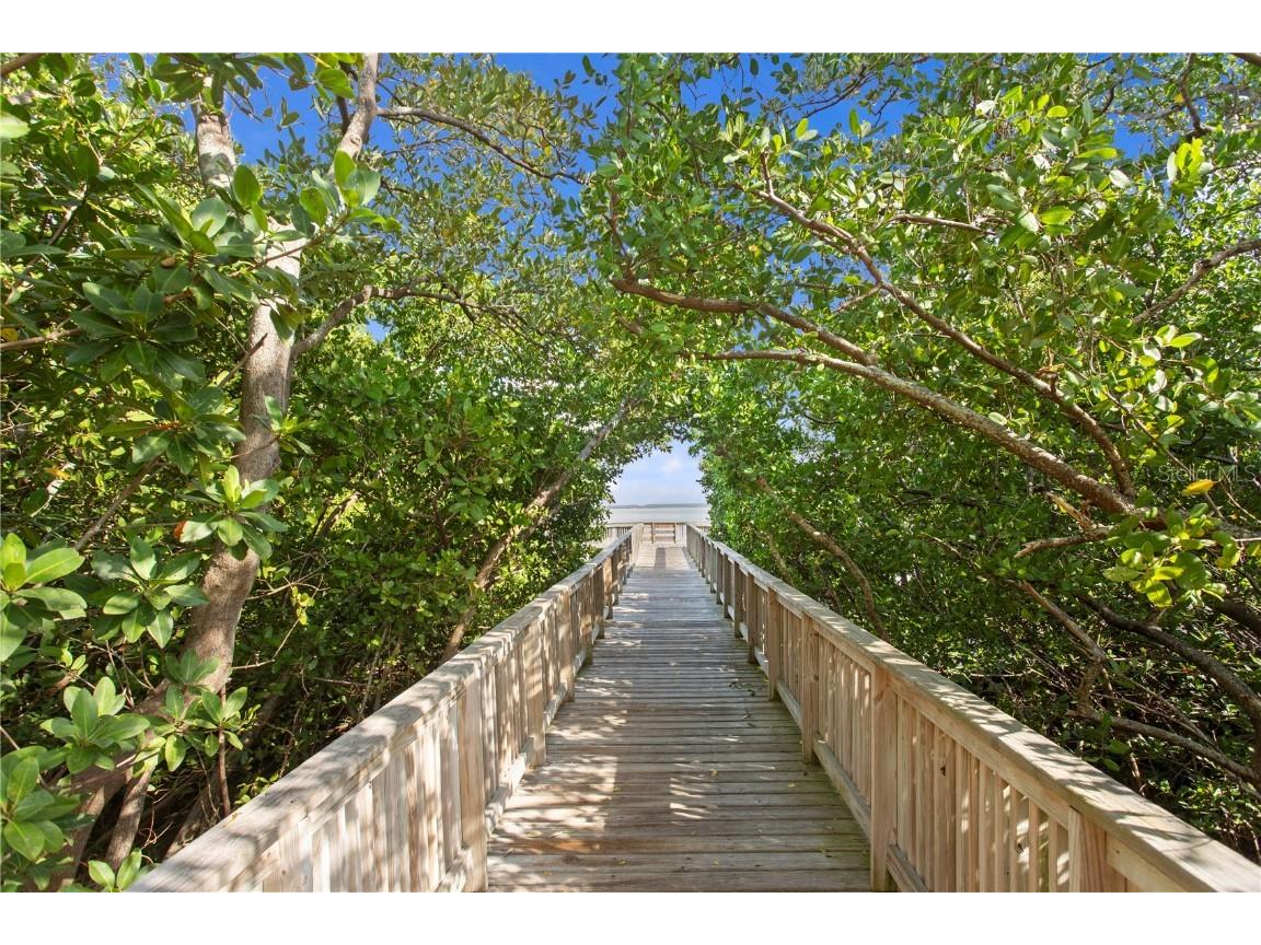 3023 Pointeview Drive Tampa FL 33611 - HILLSBOROUGH BAY TB8452275 image41