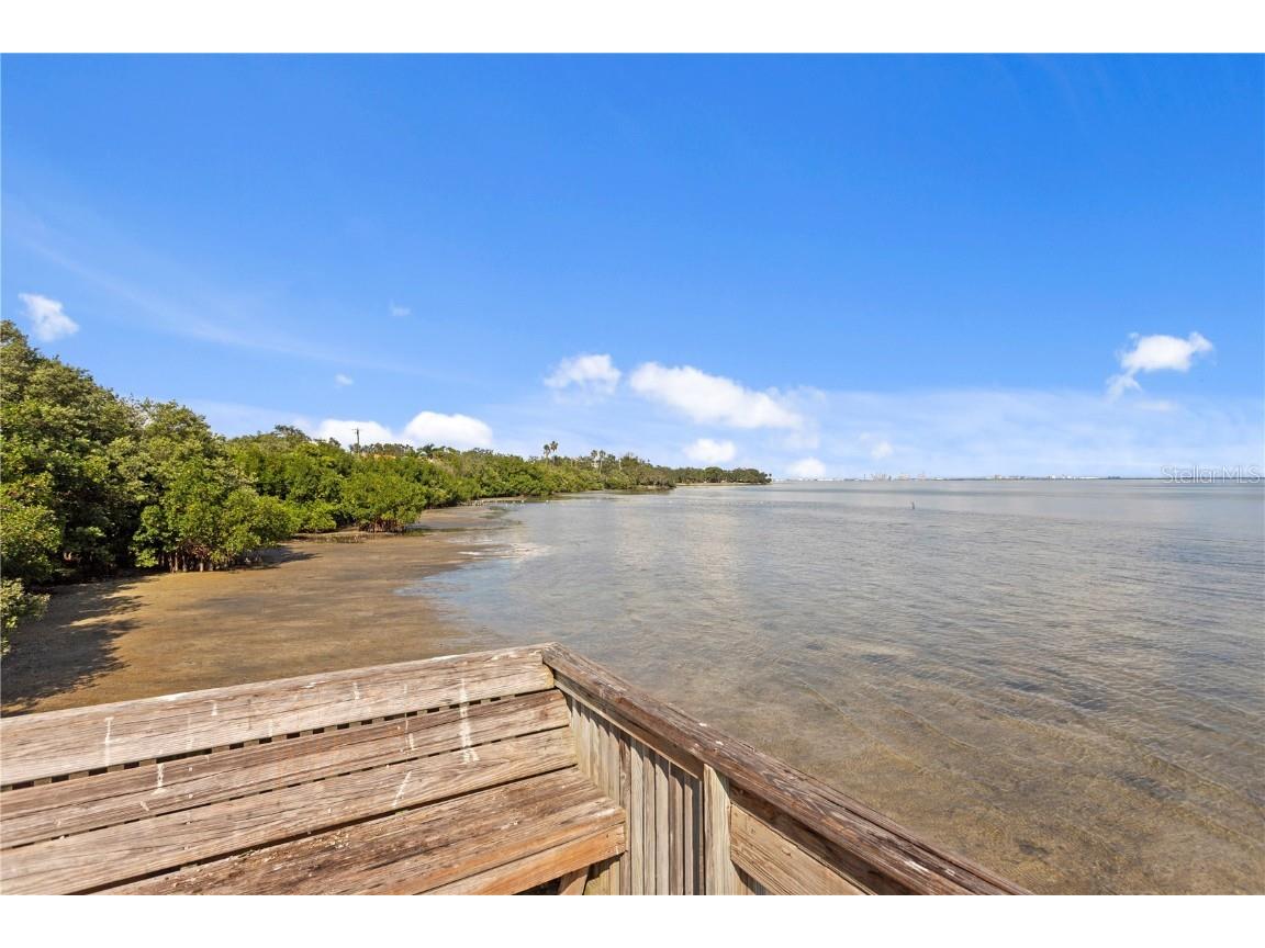 3023 Pointeview Drive Tampa FL 33611 - HILLSBOROUGH BAY TB8452275 image42