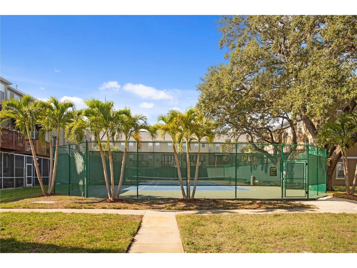 3023 Pointeview Drive Tampa FL 33611 - HILLSBOROUGH BAY TB8452275 image7