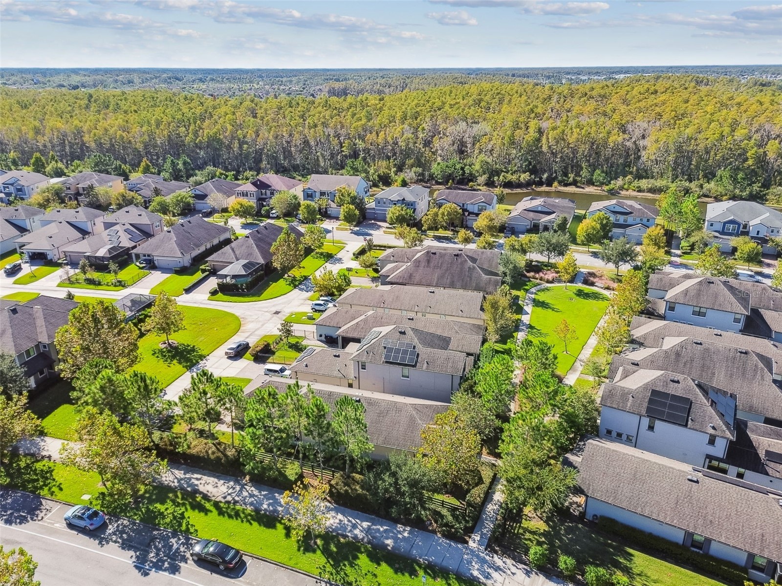 3023 Puller Trail Odessa FL 33556 W7880344 image54